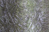 Monk Fryston fibreglass roof work